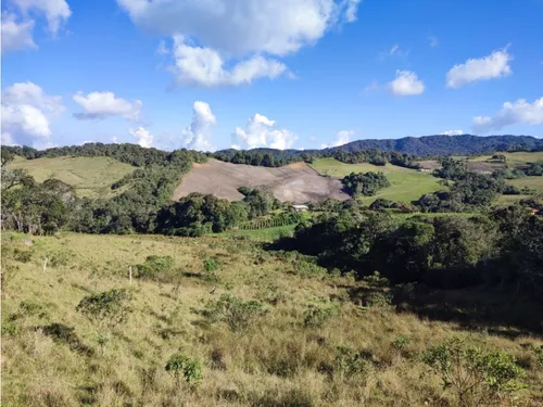 Finca En Venta Carmen De Viboral, Vía La Unión Antioquia 50 Cuadras.