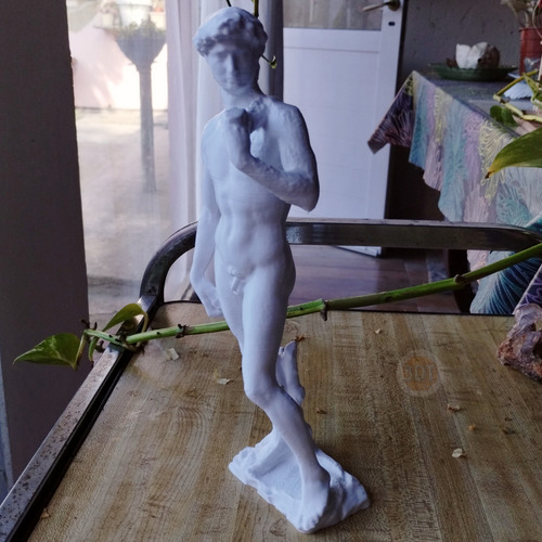 Estatua Clásica David De Miguel Angel 3d Adorno Decoración