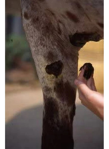 Su-per Ichthammol 395gr Unguento Caballo