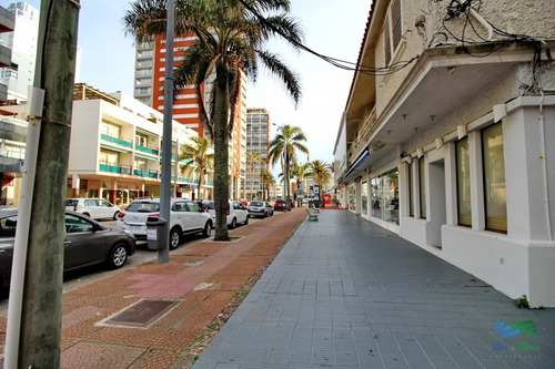 Imagen 13 de 13 de Vendo Local A La Calle Con Baño Sobre Gorlero, Punta Del Este - Punta Del Este Peninsula