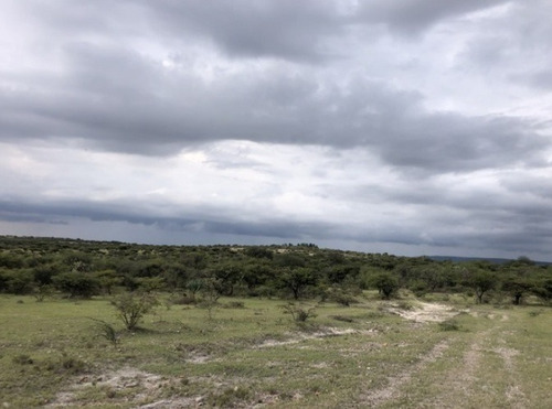 Imagen 9 de 12 de Terreno Propio Para Proyecto Residencial Campestre En San Miguel De Allende