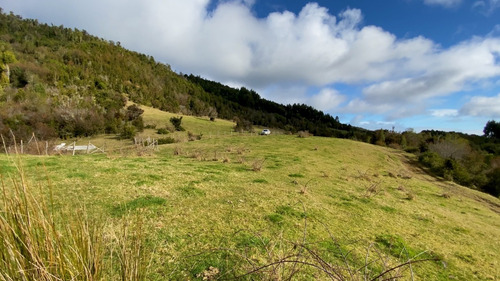 Imagen 7 de 22 de Campo De 42ha Estaquilla - Los Muermos
