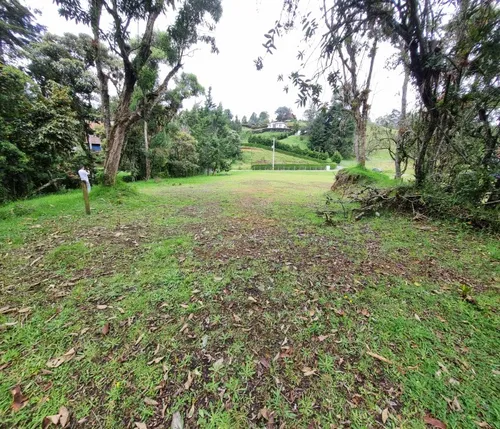 Lote En Venta En Alto De Las Palmas Vereda La Esperanza
