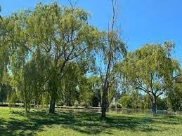 Imagen 2 de 5 de Lotes En Venta En Casuarinas Club De Campo Pilar