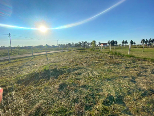 Terreno En Venta, Barrio Cardales Chico