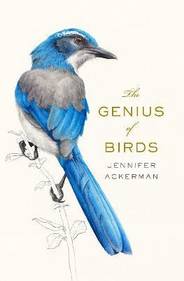 The Genius Of Birds