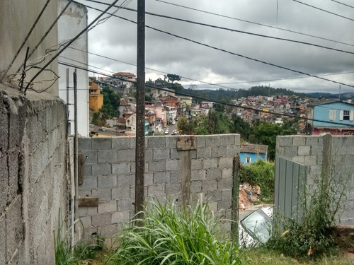 Imagem 3 de 7 de Terreno - Te00035 - 67841785