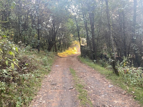 Imagen 7 de 10 de Terreno En Paraje Cuacuametla, Fracc. Real Montecasino, En H
