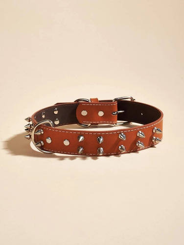 Collar Perro Con Tachas Color Beige