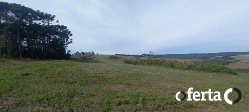 Imagem 9 de 15 de Chacara - Faxinal Dos Castilhos - Ref: 879 - V-879