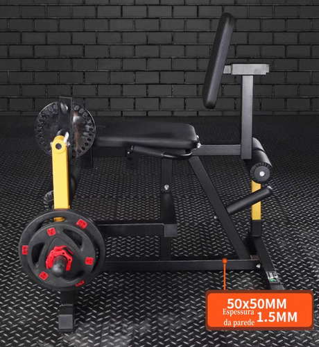 Cadeira Extensora E Flexora Exercit Para Anilhas Adking
