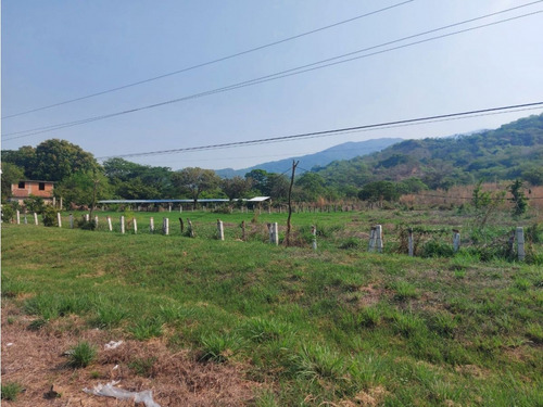Magnifico Rancho A Orilla De Carretera En Tonalà