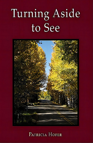 Turning Aside To See, De Hofer, Patricia. Editorial Wheatmark Inc, Tapa Blanda En Inglés