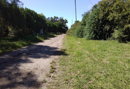 Imagen 2 de 2 de Venta Campito Para Siembra E Invernaculo Batan