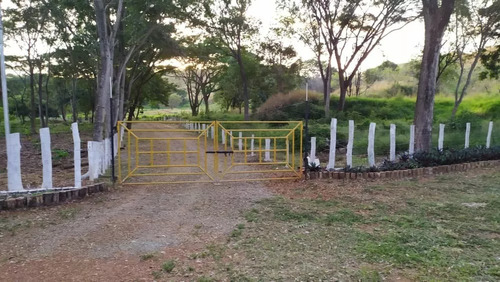 Venta Granja Integral Productiva Avicola Ganadera Y Minera Tinaquillo Edo. Cojedes Negociable Con Financiamiento Jm