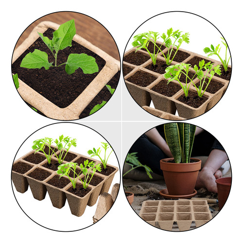 Macetas Para Plantas De Interior, Maceta De Vivero