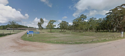 Venta Terreno Cabo Polonio 16 H Sobre Ruta