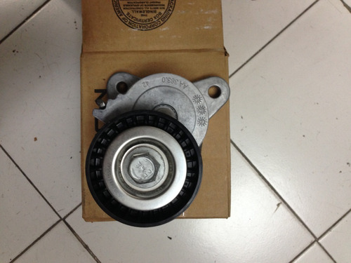 Tensor Correa Unica Caliber, Patrio Compas