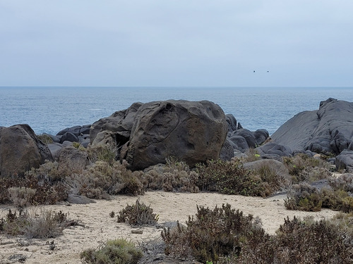 Terreno Con Playa Natural En El Arrayán Costero, La Serena