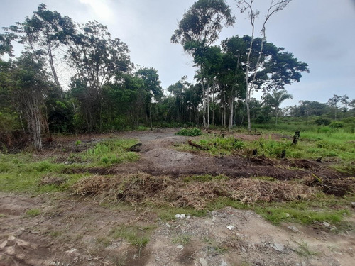 Imagem 3 de 3 de Terreno Para Venda Em Peruíbe, Jardim Sao Francisco - 2169_2-823109