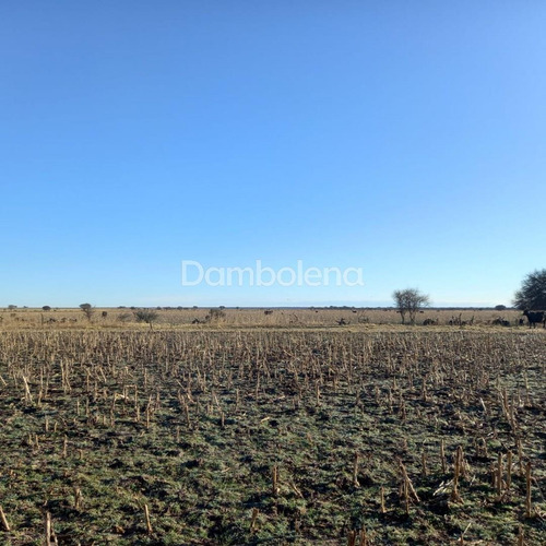Imagen 11 de 30 de Terreno Campo En Venta O Permuta Ubicado En La Maruja, Rancul