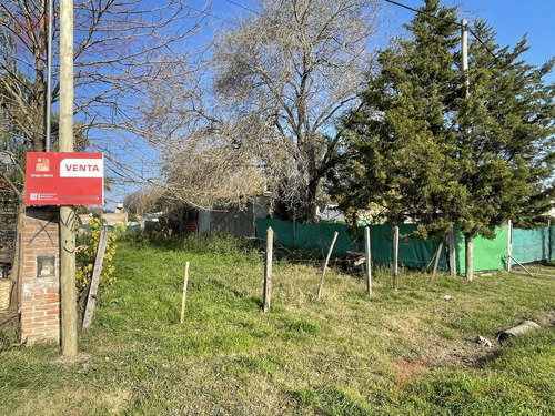 Terreno En Torres