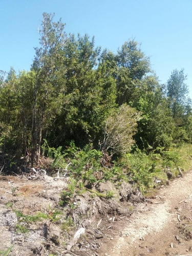 Vende Parcela En Maderos De Puerto Varas