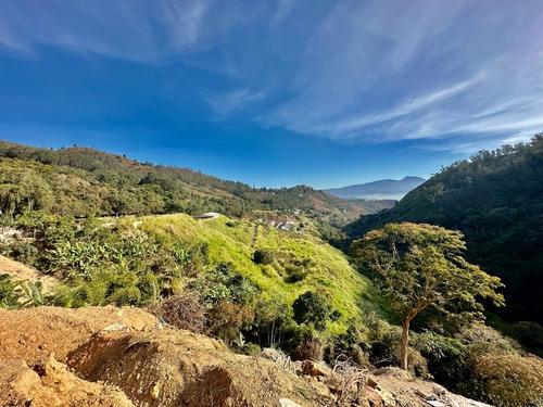 Se Vende Terreno 122.076m2 Los Salías Los Teques Miranda