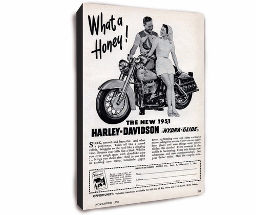 Harley Davidson - Laminas En Bastidor