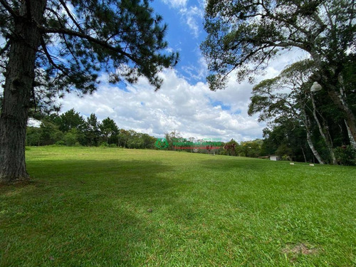 Chácara Com 2 Dormitórios À Venda, 29162 M² Por R$ 365.000,00 - Bairro Da Capelinha - Cotia/sp - Ch0157