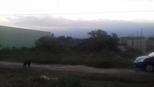 Imagem 6 de 7 de Excelente Terreno Na Praia, Itanhaém-chácaras Cibratel. 2145