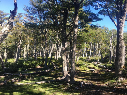 Sitio En Venta En Cisnes