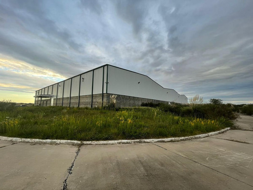 Imagen 10 de 25 de Fracción Industrial 4 Ha. Galpón 12.800 M² Cub. - Carlos Spegazzini