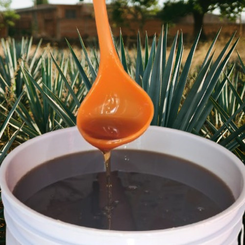 Miel De Agave 10 Litro / 13.5 Kg, Altas Colmenas