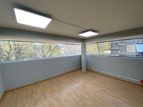 Excelente Oficina De 250 M2 En Prado Norte