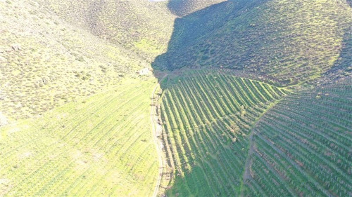Imagen 14 de 15 de Agrícola En Venta En Monte Patria