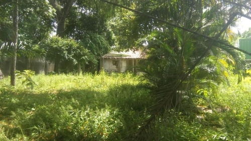 Imagem 3 de 14 de Terreno Para Locação Em Nova Descoberta Com 2200 M² Por R$ 13.000/mês - Nova Descoberta - Recife/pe - Te0051