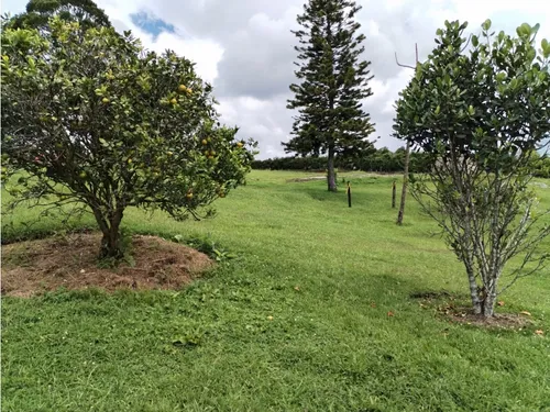 Lote En Venta, Excelente Ubicación Y Topografía, La Mejía - Guarne