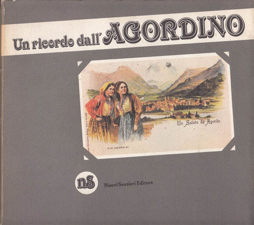 195 Postales Antiguas Italia Libro Con Reproduccion Agordino