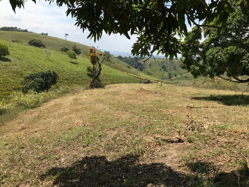 Imagem 1 de 15 de Fazenda Para Venda Em São Benedito Do Sul, Zona Rural - In - 006_1-2014337