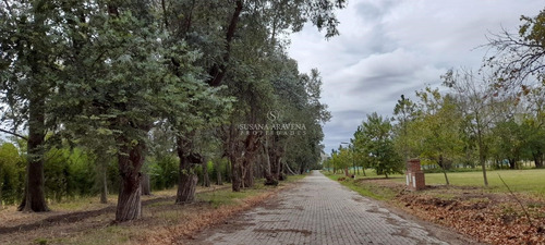 Terreno Lote En Venta En El Cardal, Campana, G.b.a. Zona Norte