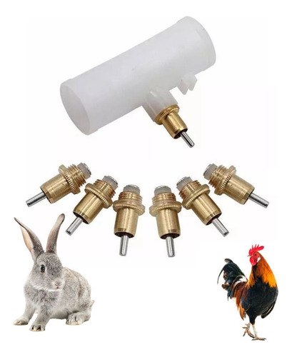 20 Bebedouros Automático Coelhos Aves Cobre Com Tê 25 Mm