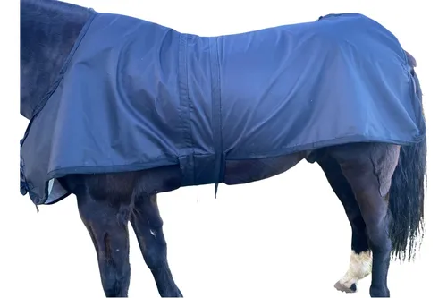 Capa para cavalo: as opções para proteger os animais neste inverno