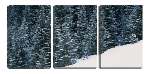 Quadro Canvas 45x96 Pinheiros Sobre A Neve