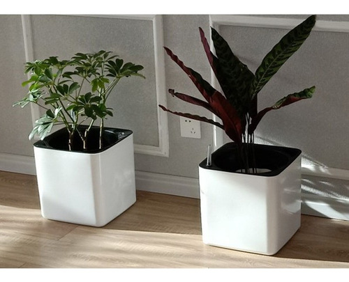 Imagen 4 de 12 de 2 Maceteros Decorativos De Plástico Para Regadera Con