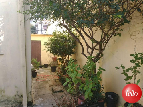 Imagem 11 de 11 de Casa - Ref: 229435