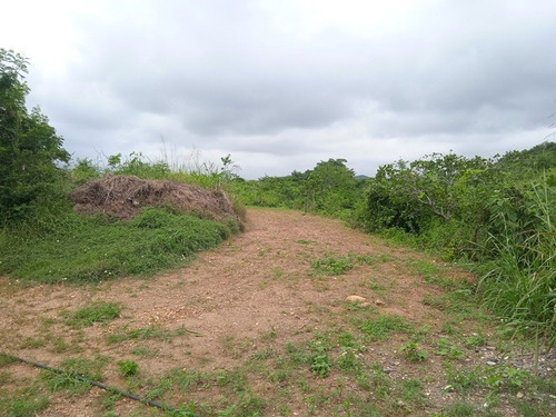 Imagen 6 de 12 de Granja Venta Cabudare En Venta, Piedad Sur, Estado Lara