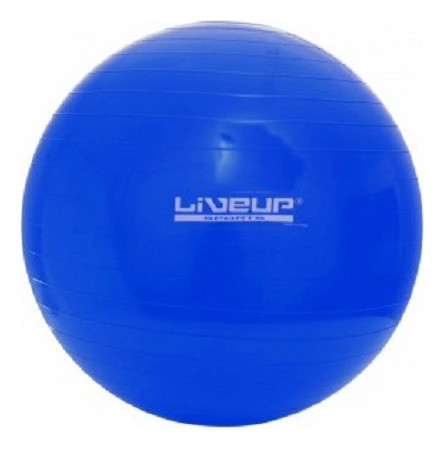Bola Suiça S - 65cm - Azul