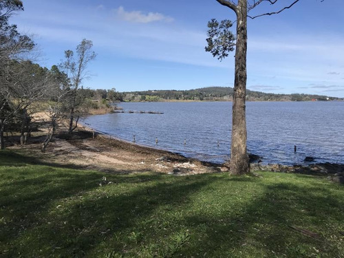 Chacra - Laguna Del Sauce