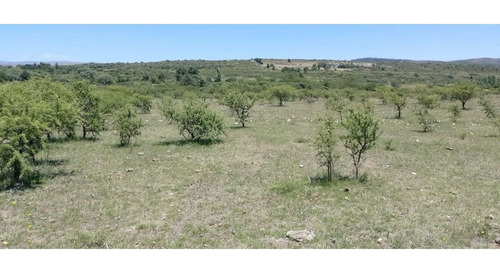 Imagen 3 de 4 de Terreno En La Falda